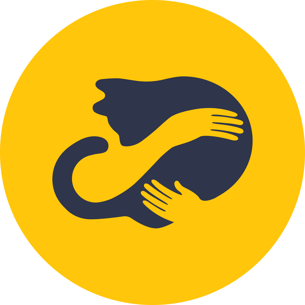 Stray Safe - Helping stray cats in Belgrade